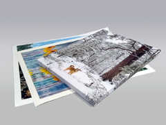 Картини на полотні