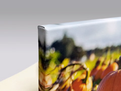 Фото на полотні